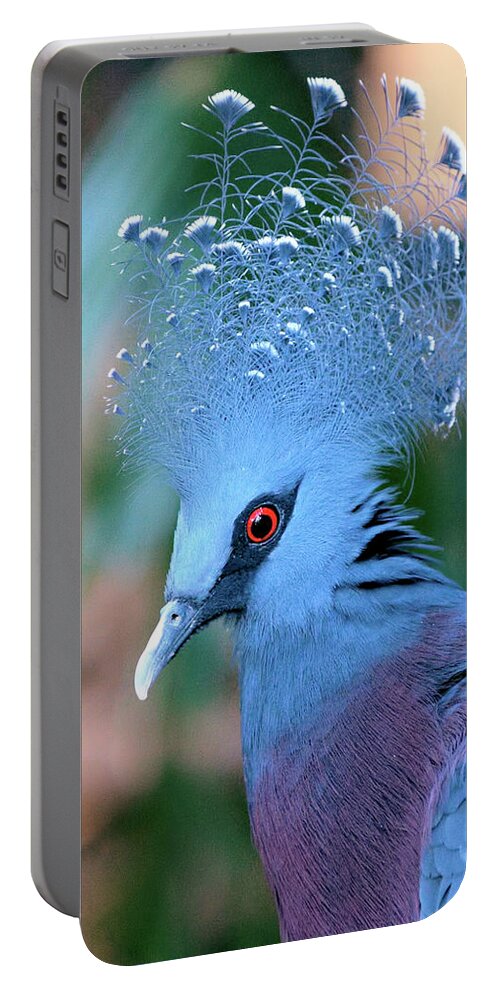 Portrait Portable Battery Charger featuring the photograph Victoria Crowned Pigeon by Baggieoldboy