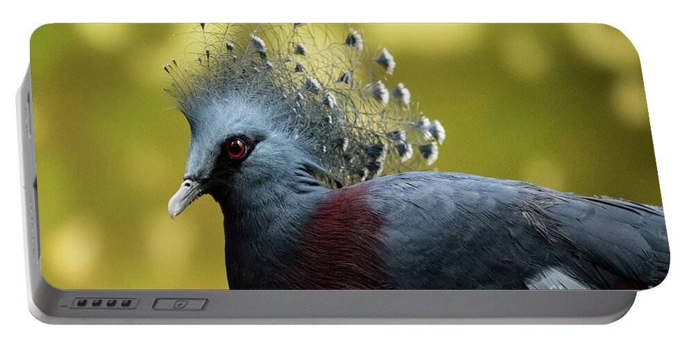 Bird Portable Battery Charger featuring the photograph Victoria Crowned Pigeon by Ed Taylor