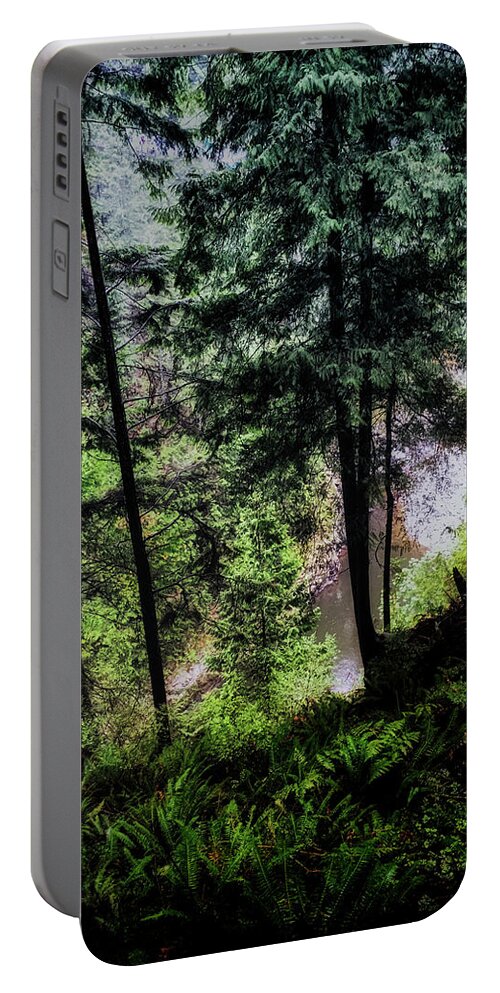 Nature Portable Battery Charger featuring the photograph View Downhill by Joseph Hollingsworth