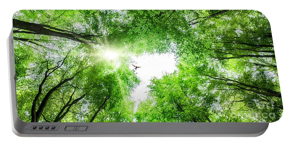Tree Portable Battery Charger featuring the photograph View through tree canopy with bird soaring by Simon Bratt