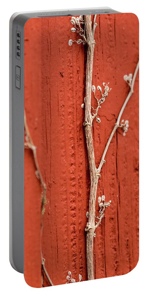 Jay Stockhaus Portable Battery Charger featuring the photograph Vine by Jay Stockhaus
