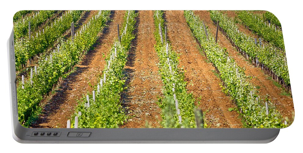 Green Portable Battery Charger featuring the photograph Vineyard on red dirt view by Brch Photography