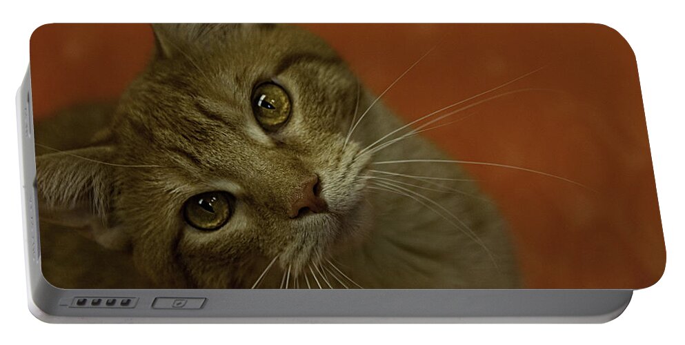 Cat Portable Battery Charger featuring the photograph Vinny the Kitty by Mitch Spence
