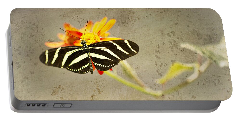 Zebra Butterfly Portable Battery Charger featuring the photograph Vintage Butterfly by Melanie Alexandra Price