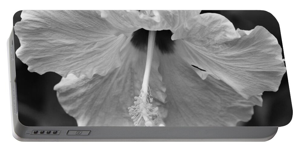 Hibiscus Portable Battery Charger featuring the photograph Vintage Hibiscus by Melanie Moraga