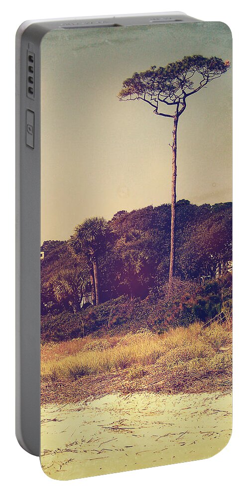 South Carolina Portable Battery Charger featuring the photograph Vintage South Carolina Pine Tree by Phil Perkins
