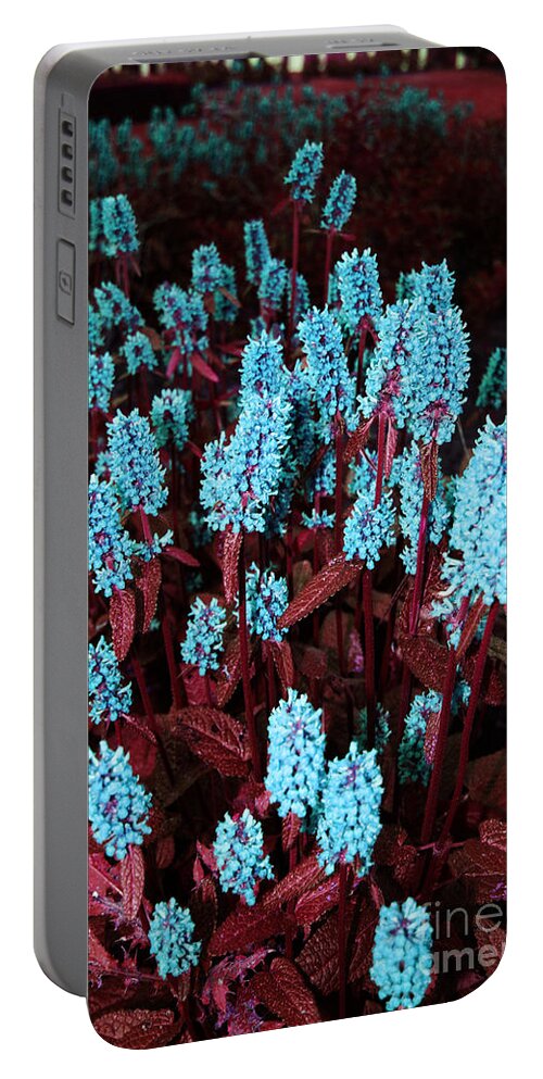  Portable Battery Charger featuring the photograph Violet Dream by JamieLynn Warber