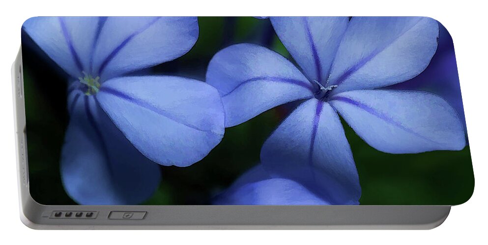Flower Portable Battery Charger featuring the photograph Violets by Frank Lee