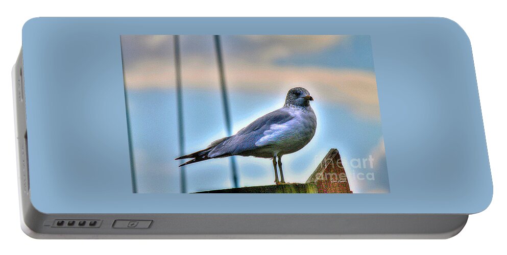 Virginia Beach Portable Battery Charger featuring the photograph Virginia Beach VA - February SeaGull Rudee Inlet by Dave Lynch