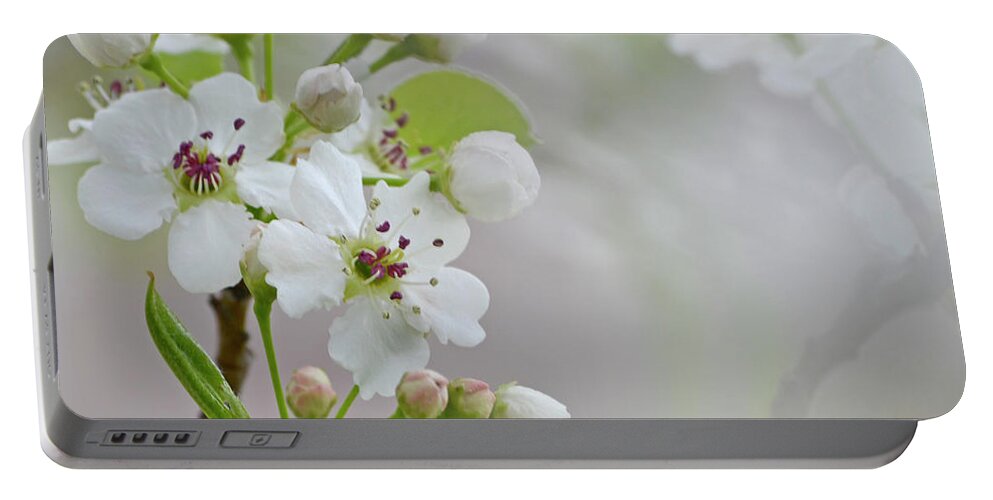 Blossoms Portable Battery Charger featuring the photograph Visions of White by Traci Cottingham