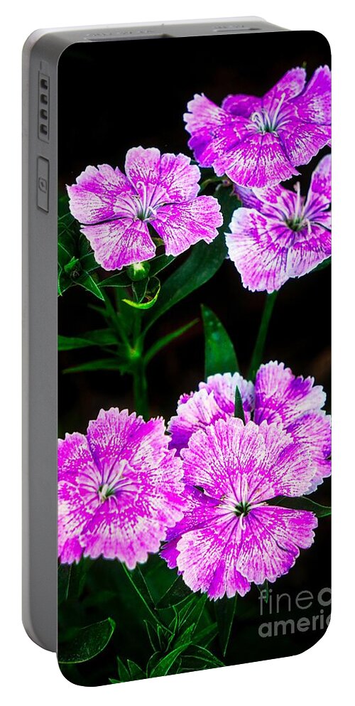 Flowers Portable Battery Charger featuring the digital art Vivant Pink and White Flowers by Ian Gledhill