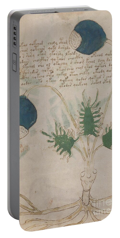 Plant Portable Battery Charger featuring the drawing Voynich flora 20 by Rick Bures