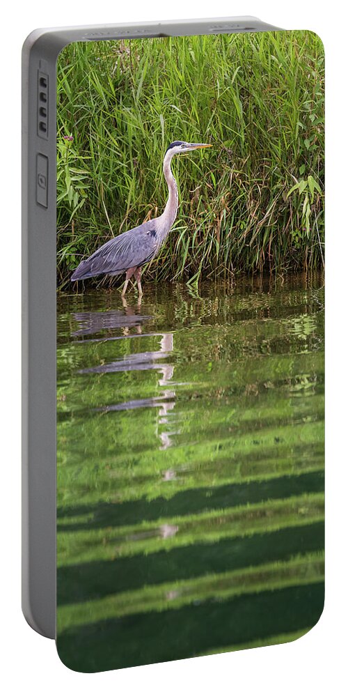 East Silent Portable Battery Charger featuring the photograph Wading and Watching by Penny Meyers