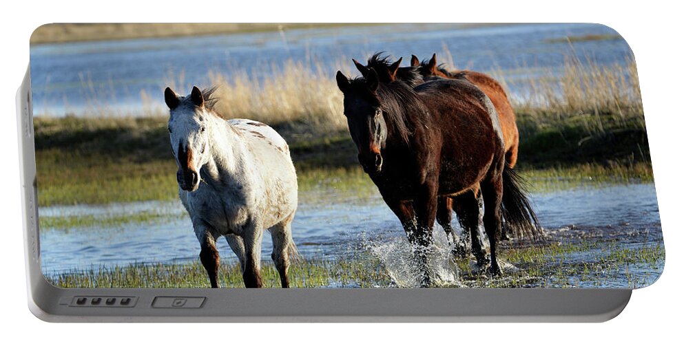 Denise Bruchman Portable Battery Charger featuring the photograph Wading thru the Malheur by Denise Bruchman