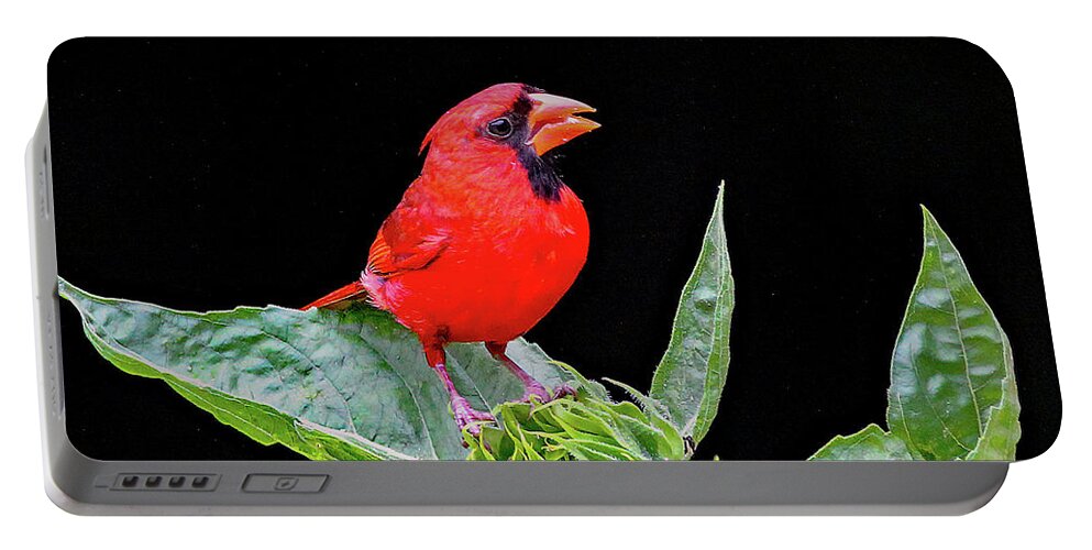Nature Portable Battery Charger featuring the photograph Waiting by DB Hayes