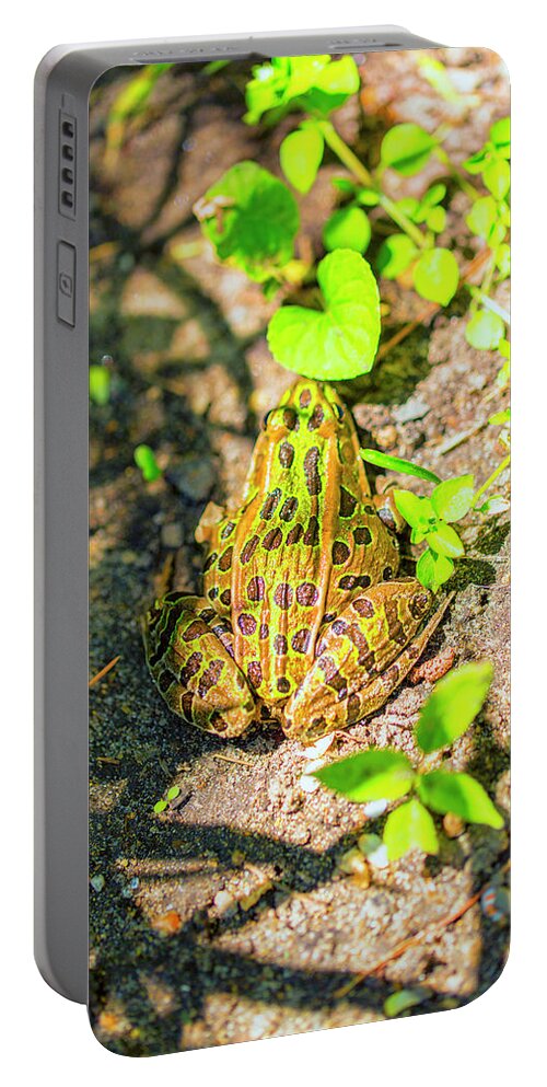 Garden Frog Portable Battery Charger featuring the photograph Waiting for lunch by Nancy Dunivin