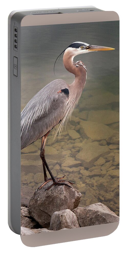 Blue Heron Portable Battery Charger featuring the photograph Waiting by Terri Harper