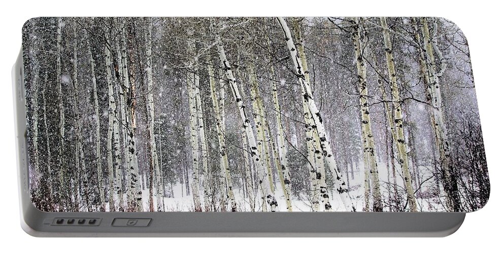 Idaho Portable Battery Charger featuring the photograph Walk in the woods anyone by Merle Grenz