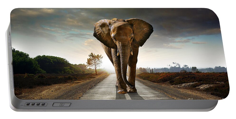 African Portable Battery Charger featuring the photograph Walking Elephant by Carlos Caetano