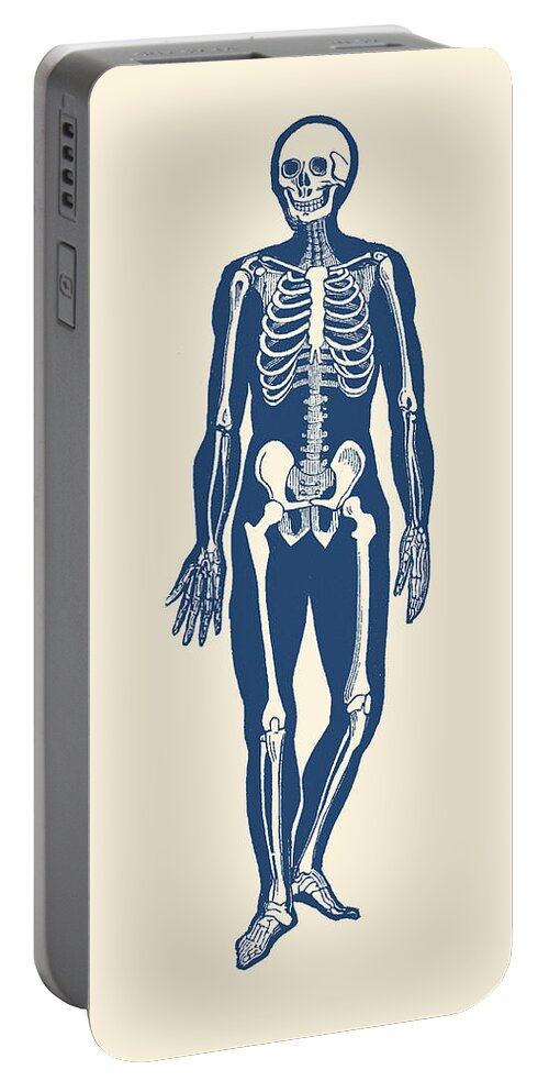 Skeleton Portable Battery Charger featuring the drawing Walking Skeleton - Vintage Anatomy Print by Vintage Anatomy Prints