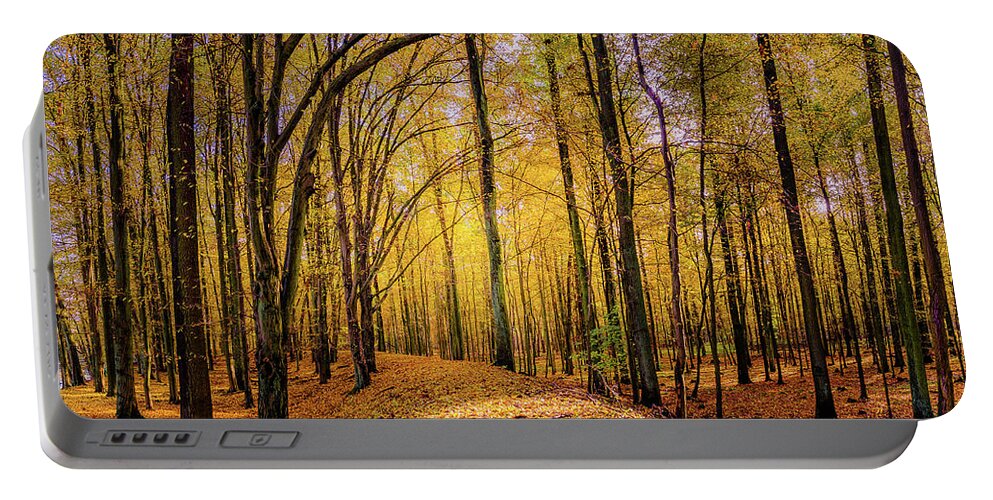 Europe Portable Battery Charger featuring the photograph Walkway in the autumn woods by Dmytro Korol