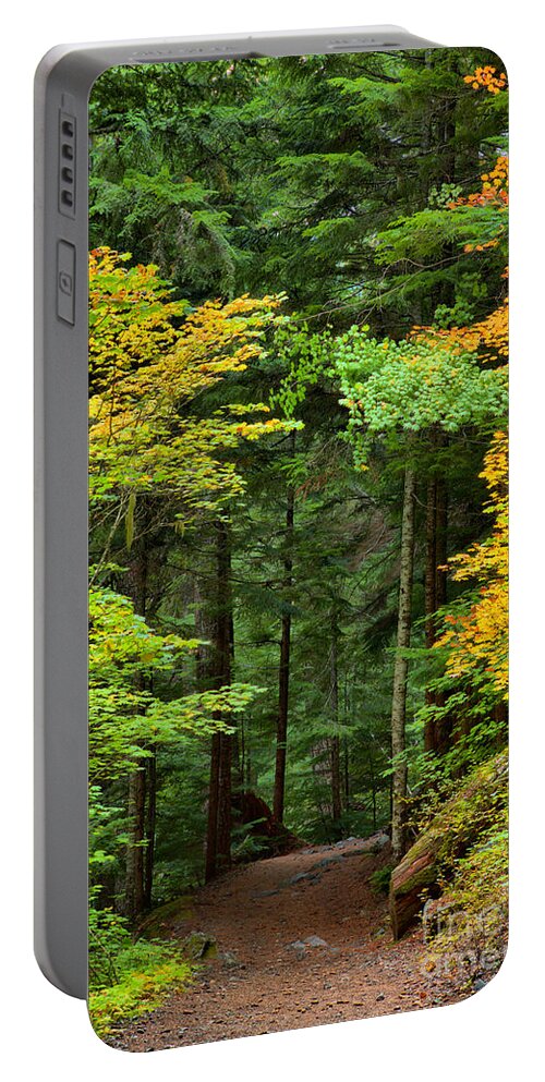  Portable Battery Charger featuring the photograph Wandering Through The Trees by Adam Jewell