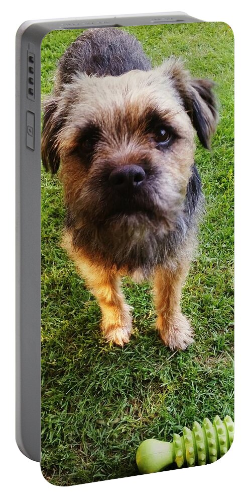Dog Portable Battery Charger featuring the photograph Wanna Play by Rowena Tutty