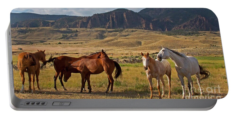 Horse Portable Battery Charger featuring the photograph Wapiti Horses-Signed-#3241 by J L Woody Wooden
