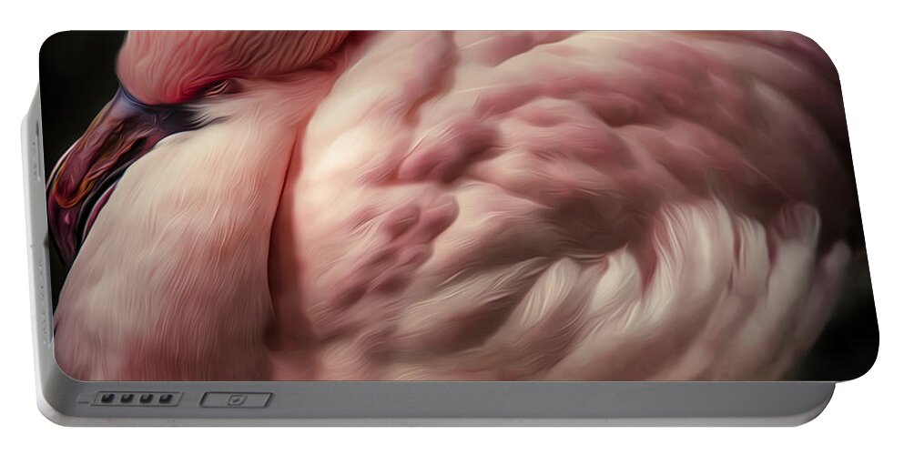 Animals Portable Battery Charger featuring the photograph Warmth and Repose by Rikk Flohr