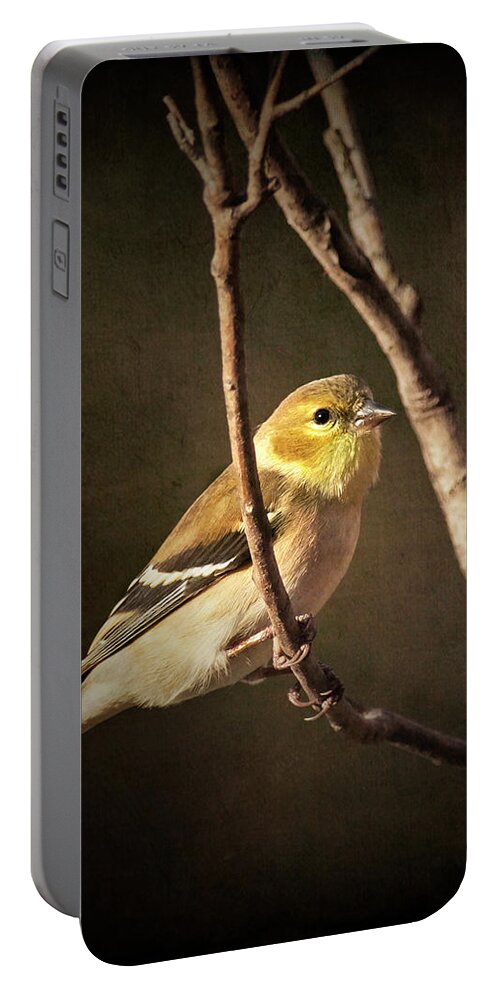 Golden Portable Battery Charger featuring the photograph Warmth in the Light by Richard Macquade
