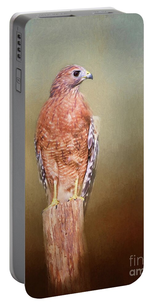 Red Shouldered Hawk Portable Battery Charger featuring the photograph Watching and Waiting by Sharon McConnell