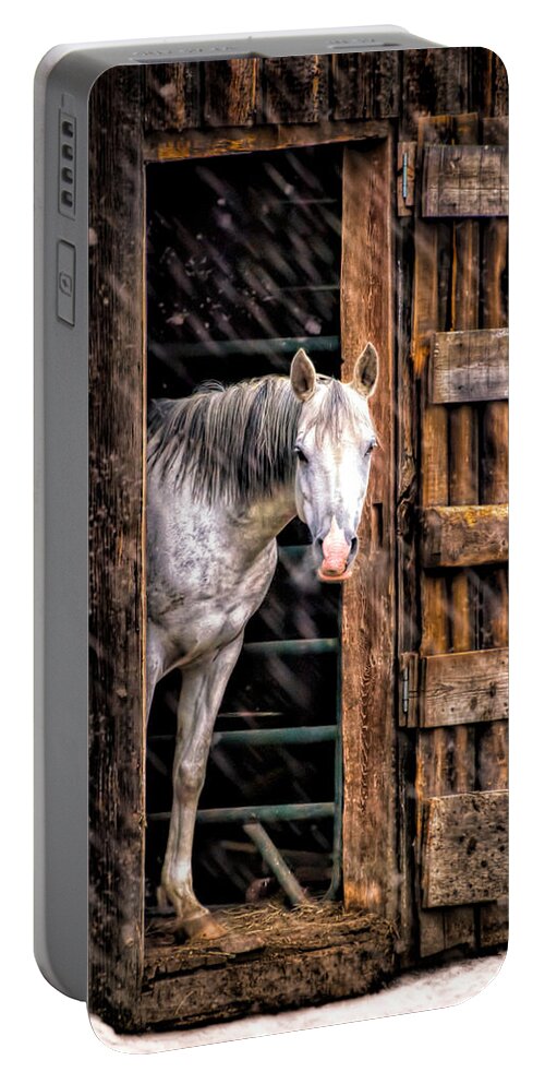Horse Portable Battery Charger featuring the photograph Watching the snow fall by Bob Orsillo