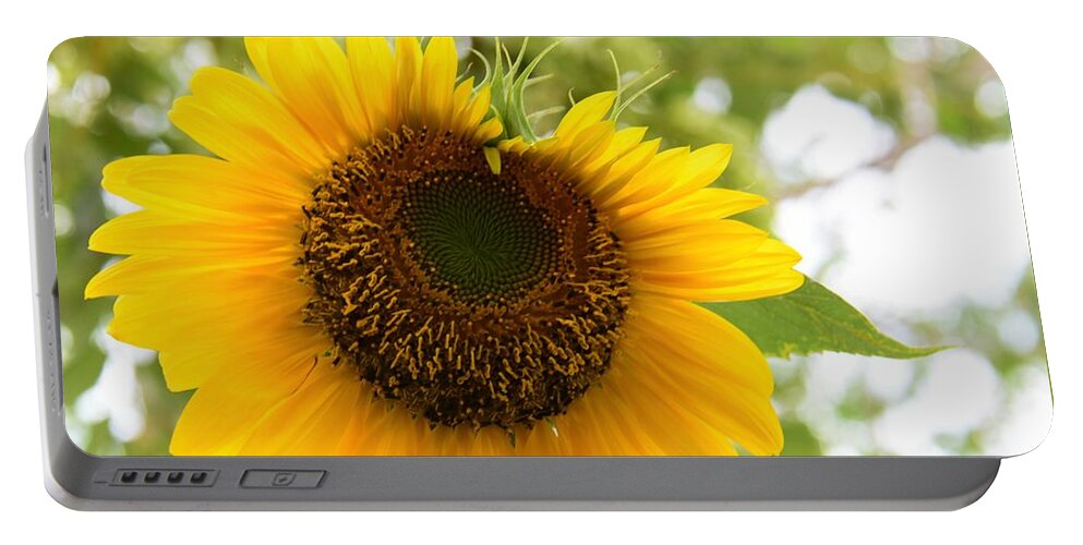 Sunflowers Growing Portable Battery Charger featuring the photograph Watching You by Angela J Wright