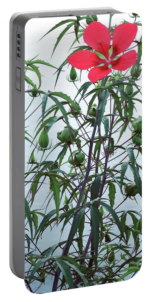 Flower Portable Battery Charger featuring the photograph Water Color by Deborah Crew-Johnson