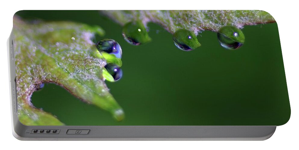 Macro Photography Portable Battery Charger featuring the photograph Water Droplet III by Richard Rizzo