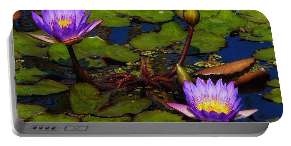 Alligators Portable Battery Charger featuring the photograph Water Lilies IV by Kathi Isserman
