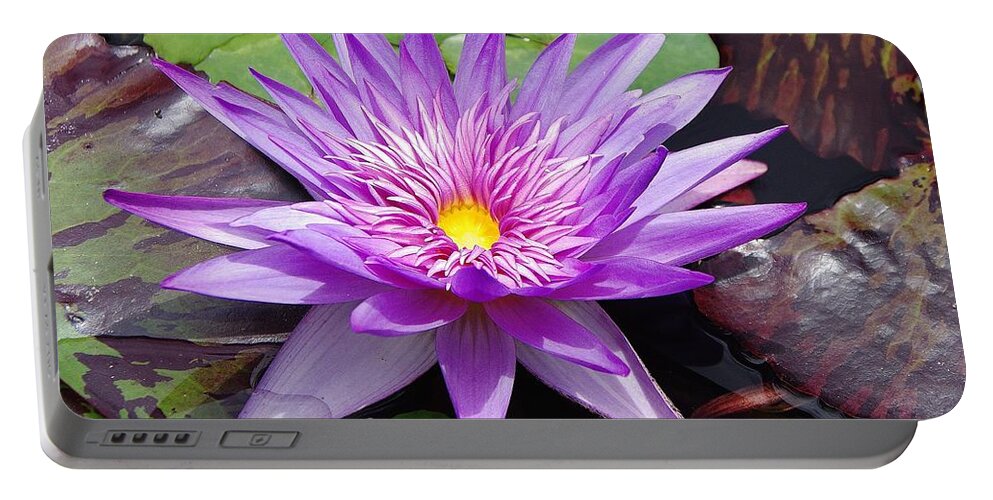 Water Lily Portable Battery Charger featuring the photograph Water Lily 1 by Phyllis Spoor