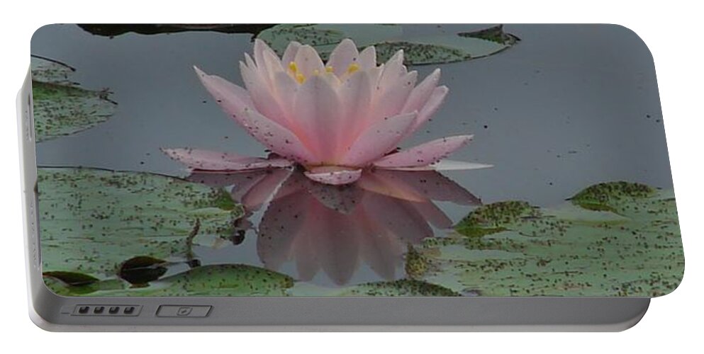 Flower Portable Battery Charger featuring the photograph Water Lily by Carl Moore