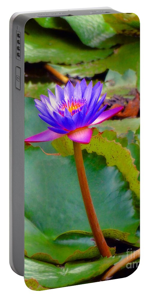 Lily Portable Battery Charger featuring the photograph Water Lily in Tahiti by Sue Melvin