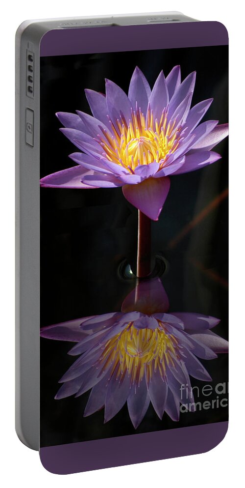 Waterlily Portable Battery Charger featuring the photograph Water Lily - Purple Passion by Gunther Allen