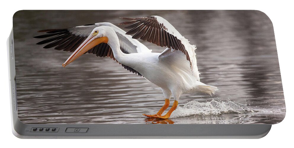 Pelican Photography Portable Battery Charger featuring the photograph Water Skiing by Jerry Cowart