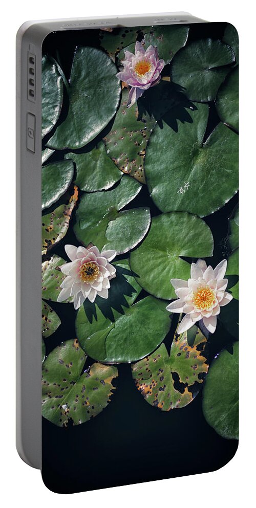 California Portable Battery Charger featuring the photograph Water Triad by Jason Roberts