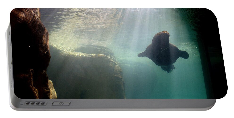 Memphis Zoo Portable Battery Charger featuring the photograph Water World by DArcy Evans