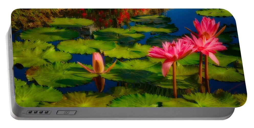 Longwood Portable Battery Charger featuring the photograph Waterlily Blooms - Ethereal by Amanda Jones