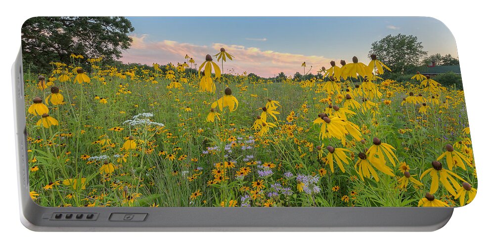 Flowers Portable Battery Charger featuring the photograph Prairie 1 by Paul Schultz