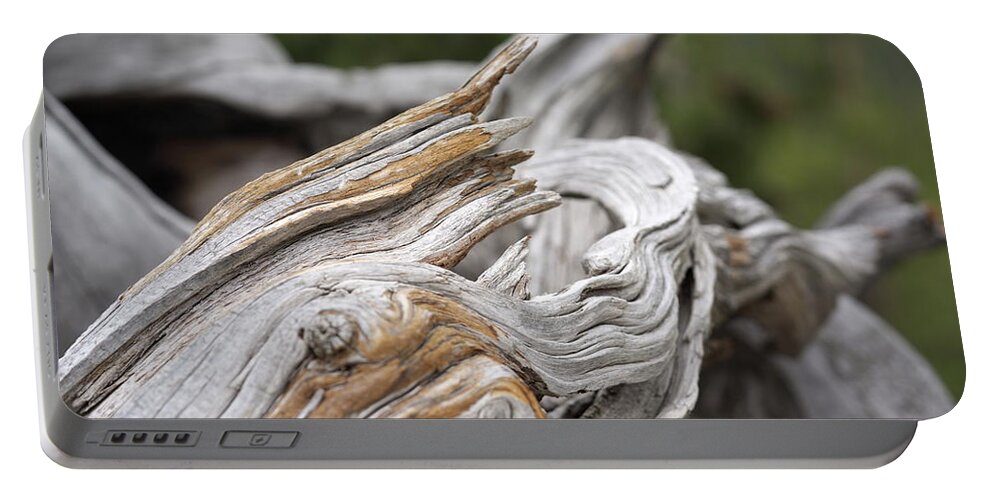 Bristlecone Portable Battery Charger featuring the photograph Waves by Ivan Franklin