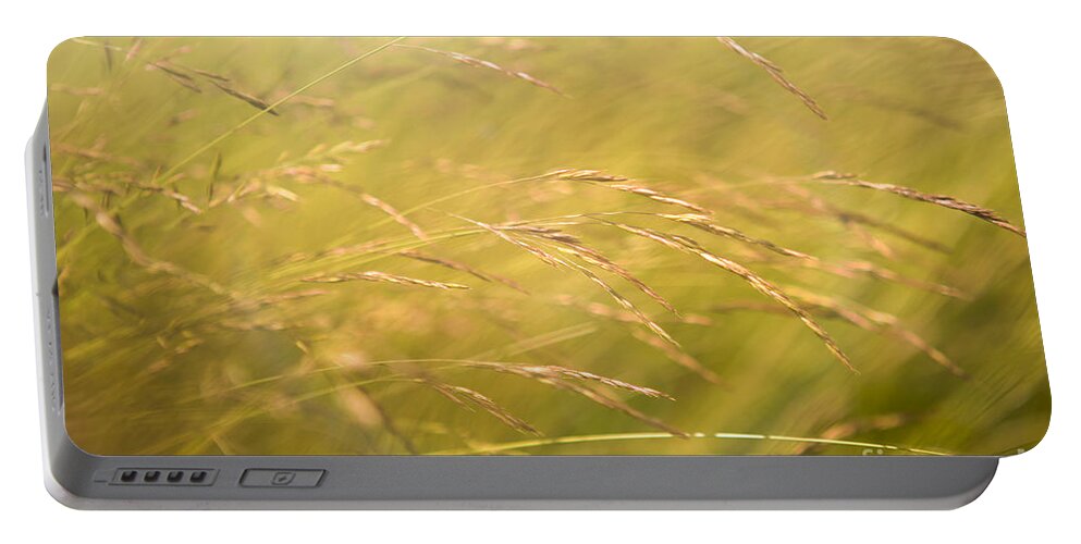 Grass Portable Battery Charger featuring the photograph Waving Grass by Diane Diederich