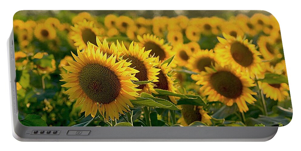 Yellow Flowers Portable Battery Charger featuring the photograph Waving Sunflowers in a Field by Karen McKenzie McAdoo