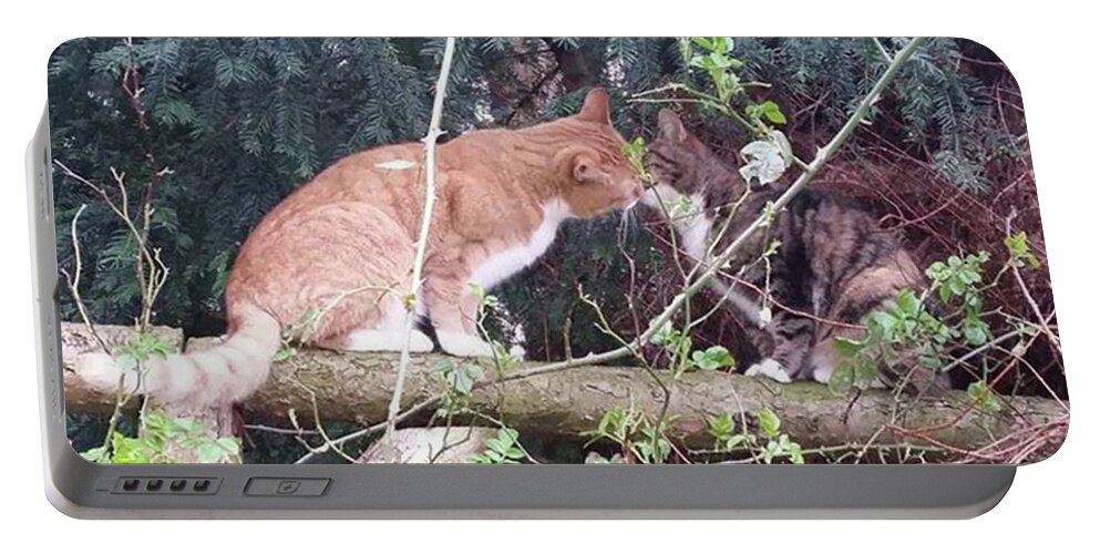 Cat Portable Battery Charger featuring the photograph Stolen Kisses by Rowena Tutty