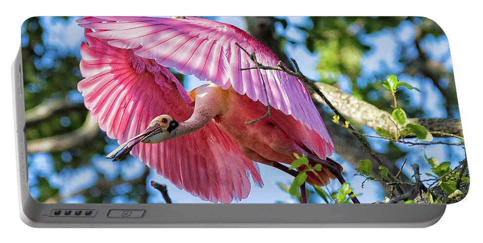 Spoonbills Portable Battery Charger featuring the photograph We Have Lift Off by DB Hayes